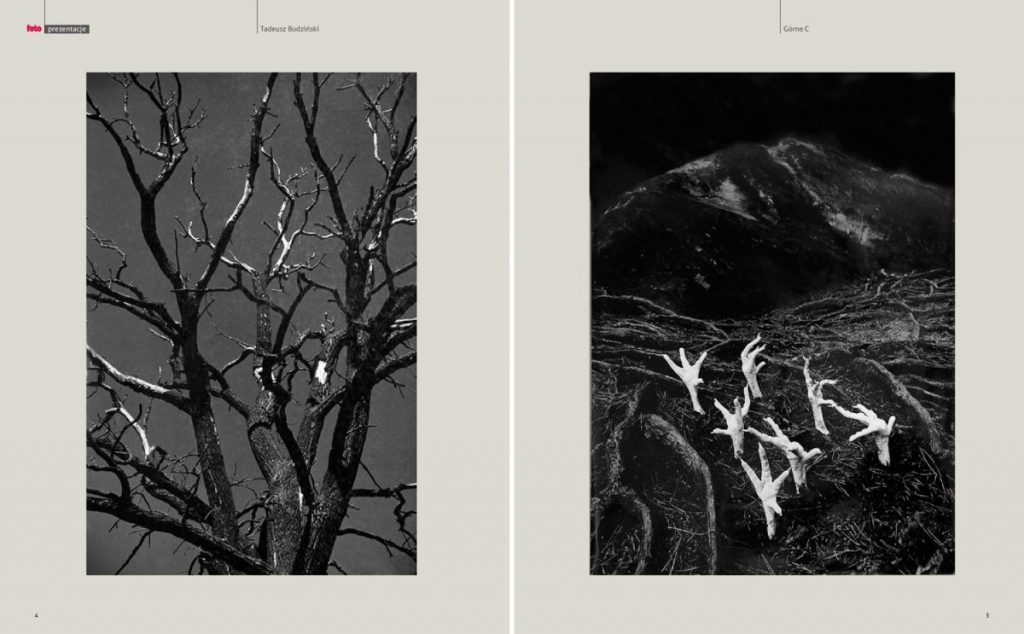 fotograf poznań teksty o fotografii copywriting dziennikarz fotograficzny wywiad