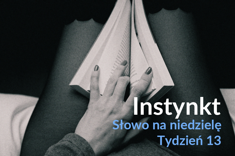 fotograf poznań portret akt reklamowa reklama nauka fotografii warsztaty paweł staszak plan f najlepszy fotograf wielkopolskie moda portfolio modelki modeli reportaż social media fanpage public relations biznesowa zdjęcia