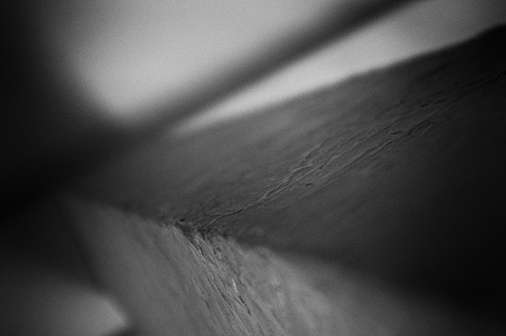 warsztaty fotograficzne