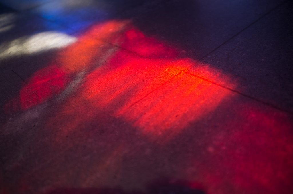 warsztaty fotograficzne