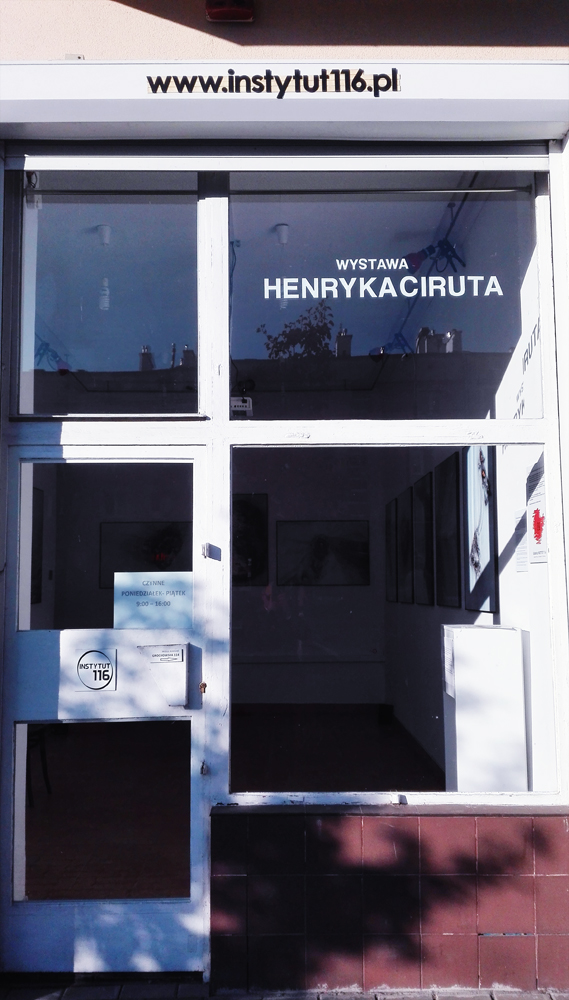 organizacja wystaw fotograficznych kuratorstwo galeria poznań