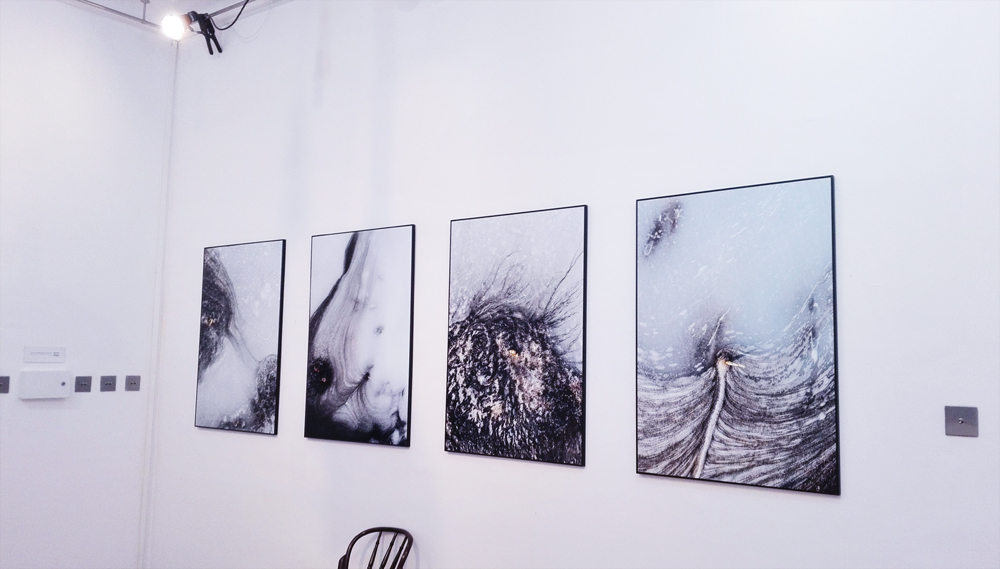organizacja wystaw fotograficznych kuratorstwo galeria poznań