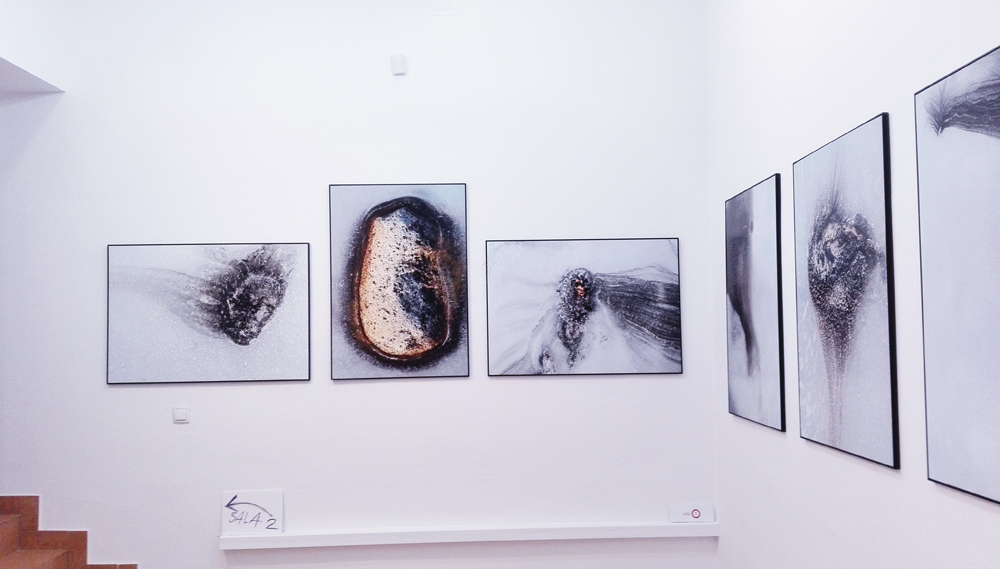 organizacja wystaw fotograficznych kuratorstwo galeria poznań