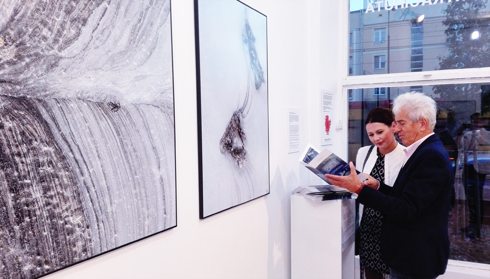 organizacja wystaw fotograficznych kuratorstwo galeria poznań