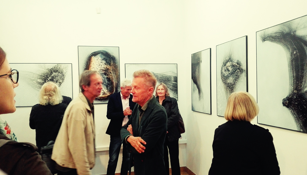 organizacja wystaw fotograficznych kuratorstwo galeria poznań