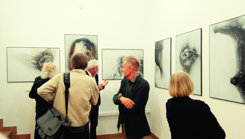 organizacja wystaw fotograficznych kuratorstwo galeria poznań