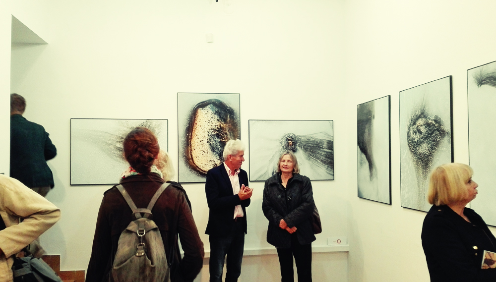 organizacja wystaw fotograficznych kuratorstwo galeria poznań