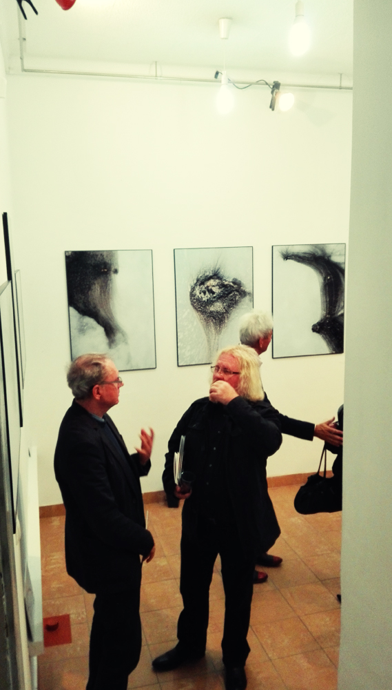 organizacja wystaw fotograficznych kuratorstwo galeria poznań