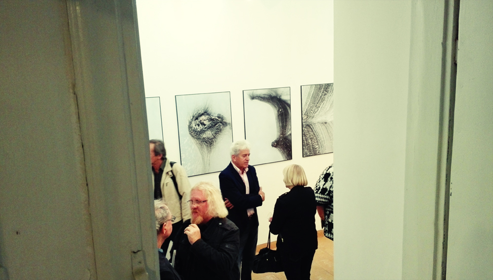 organizacja wystaw fotograficznych kuratorstwo galeria poznań