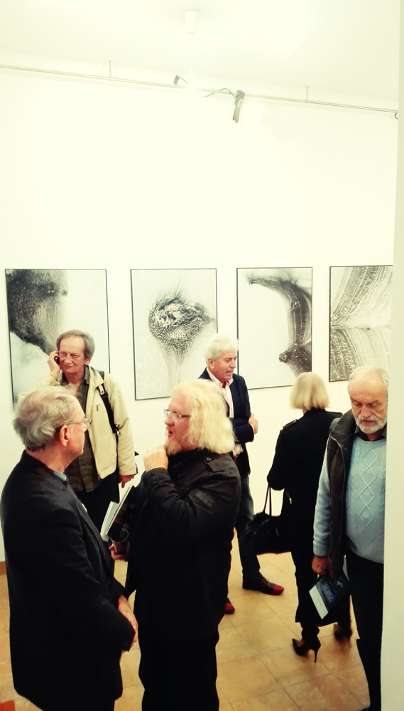 organizacja wystaw fotograficznych kuratorstwo galeria poznań