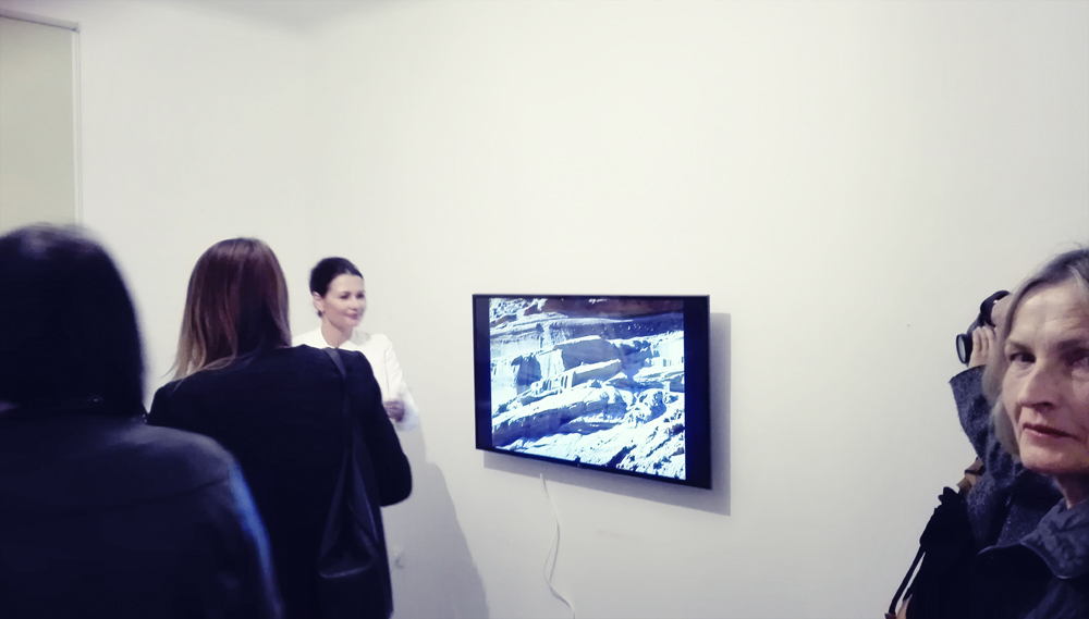 organizacja wystaw fotograficznych kuratorstwo galeria poznań